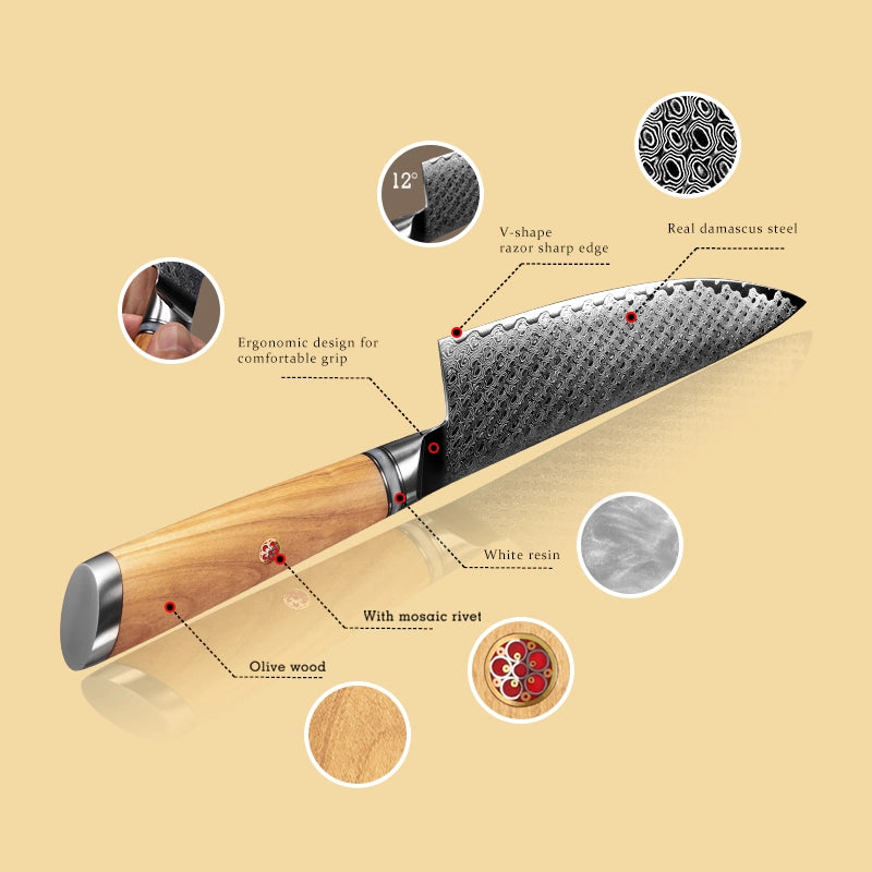 Culinary knife with features highlighted on a beige background